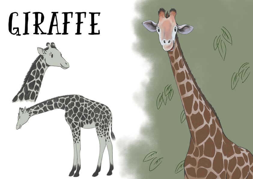 charakterdeseign kinderbuch illustration giraffe