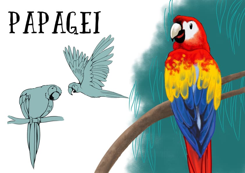 kinderbuch charakterdesign papagei
