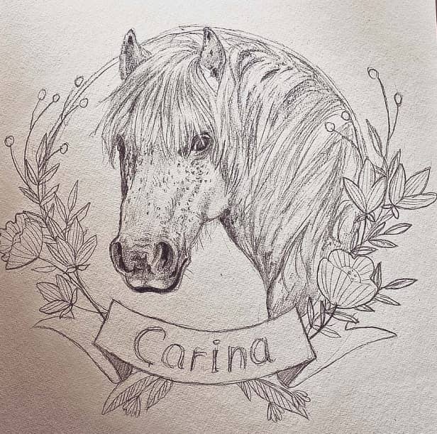 Pony Zeichnung